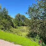 Brackenhill Καρλάιλ